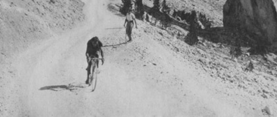 Sylvére Maes winning the stage and taking over the lead during the 15th stage of Tour de France 1939